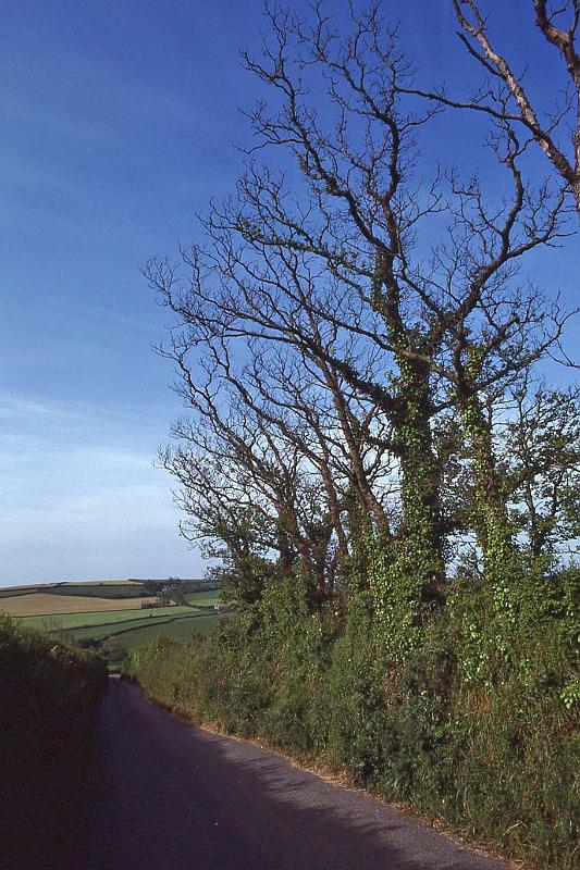 WT 2700 330-32 UK 1992-1.jpg